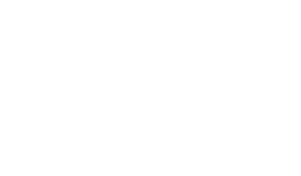Logo van Nederlands Veteraneninstituut