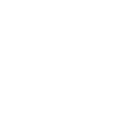 Logo van Rijndam